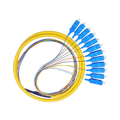 SC Single-Mode 12-Core Fiber Optic Cable APC/UPC Bundled Pigtail G652D 1.2M Customized